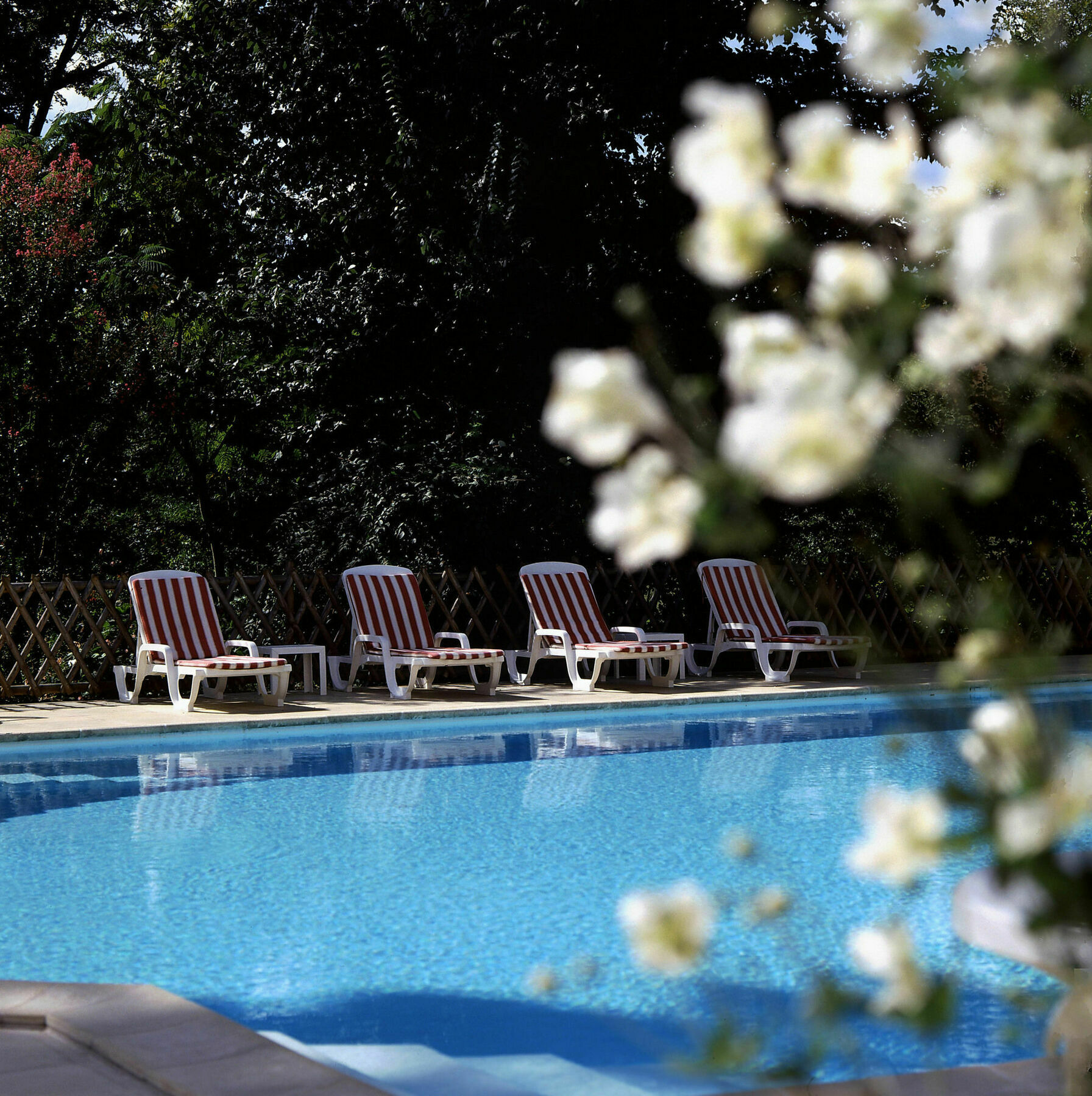 Logis Les Loges Du Parc Hotel La Roche-Posay Bagian luar foto